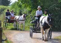 Fund Day at Hazeldene Farm