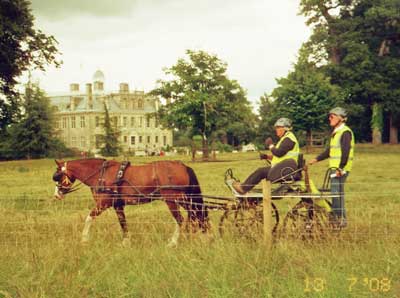 Kingston Lacy 08