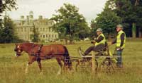 Kingston Lacy 2008