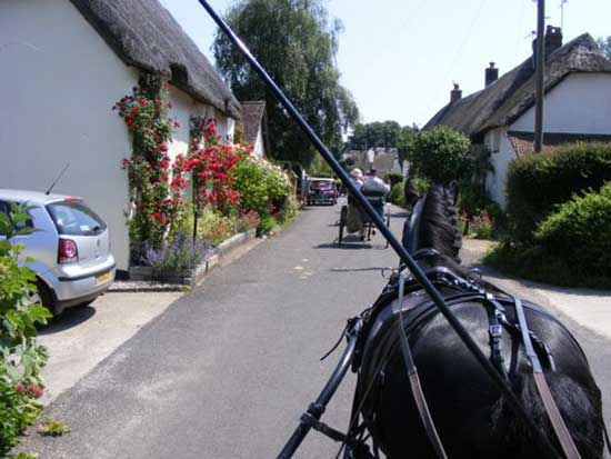 Tolpuddle Drive 2008