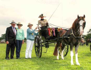 Dorset & S.Wilts BDS Area Show 2018