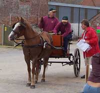 Chilbridge Farm Treasure Hunt