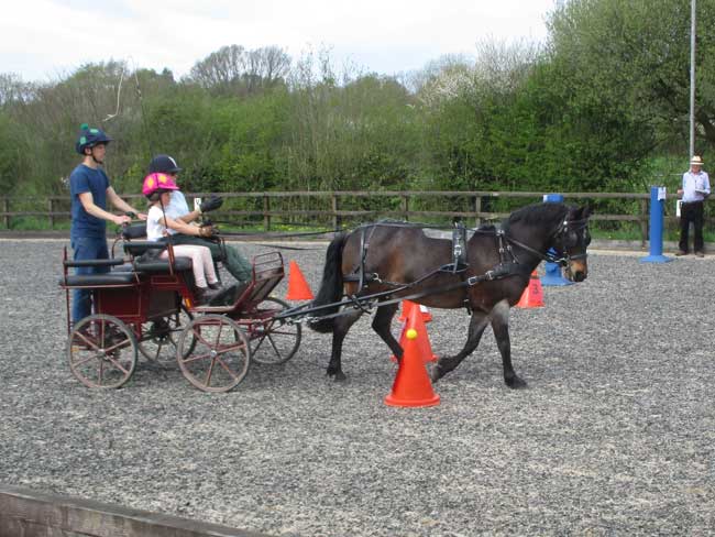 Cones day, BDS Dorset & S. Wilts