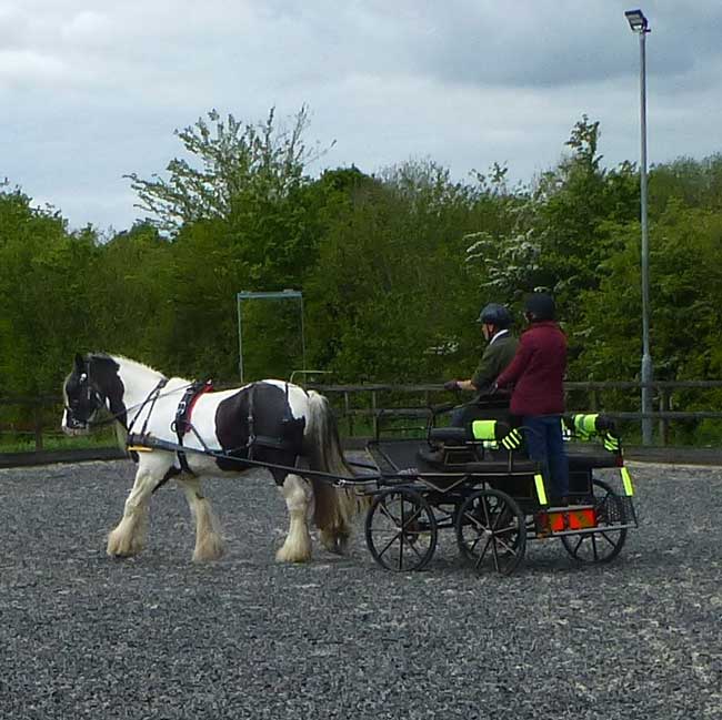 BDS Dorset and S Wilts Dressage and Cones Competition 2019