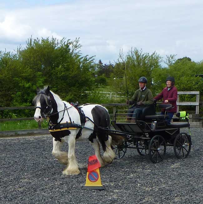 BDS Dorset and S Wilts Dressage and Cones Competition 2019