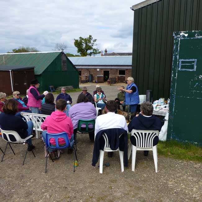 BDS Dorset and S Wilts Dressage and Cones Competition 2019