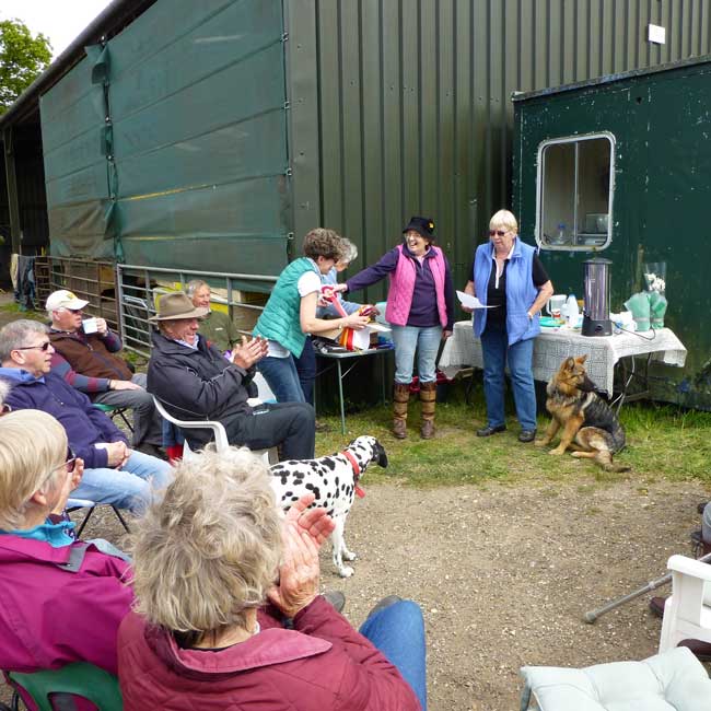 BDS Dorset and S Wilts Dressage and Cones Competition 2019