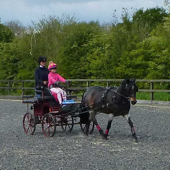 BDS Dorset and S Wilts Dressage and Cones Competition 2019