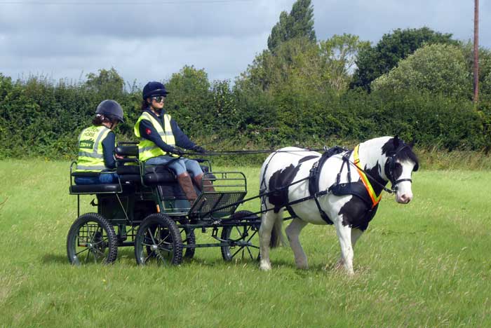 Interval Drive at Dogdean Farm