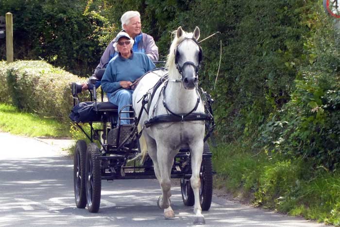 Interval Drive at Dogdean Farm