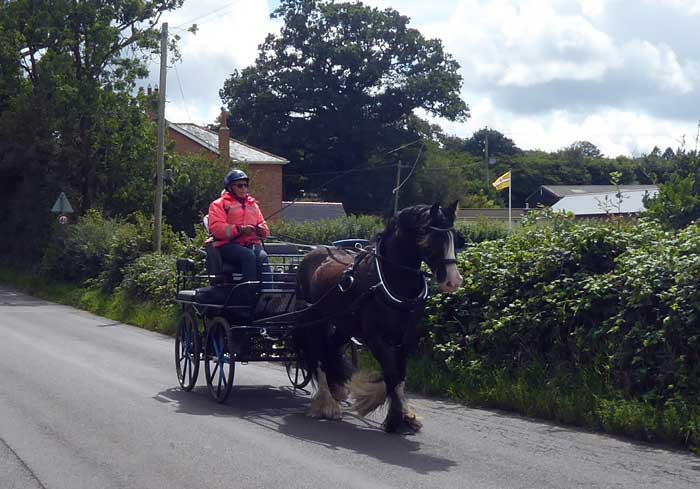 Interval Drive at Dogdean Farm