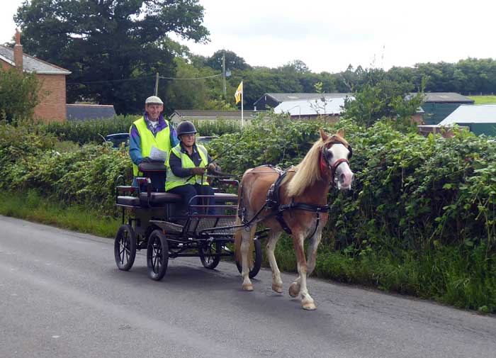 Interval Drive at Dogdean Farm