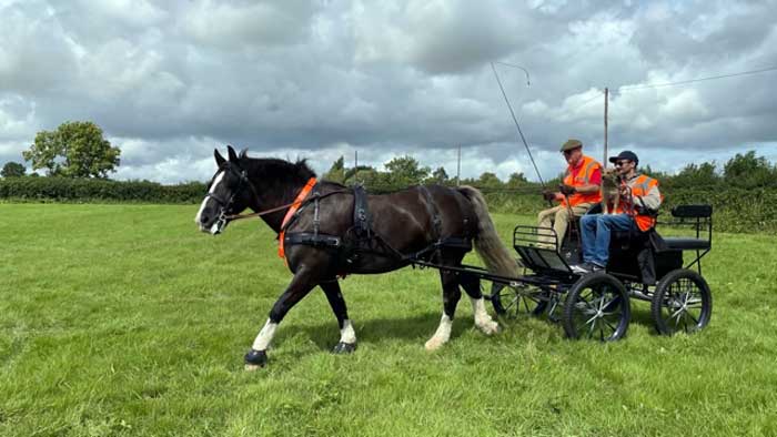 Interval Drive at Dogdean Farm