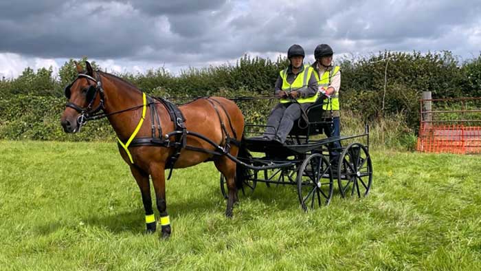 Interval Drive at Dogdean Farm