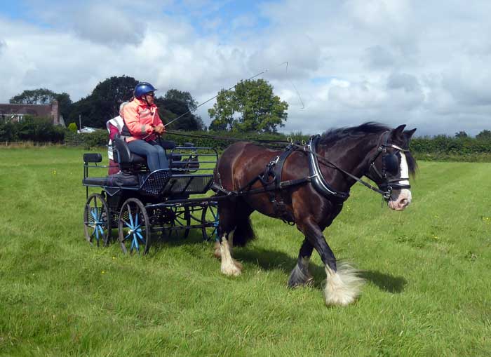 Interval Drive at Dogdean Farm