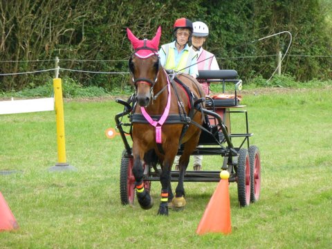 BDS Trec at Dogdean Farm 2016