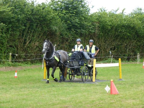 BDS Trec at Dogdean Farm 2016