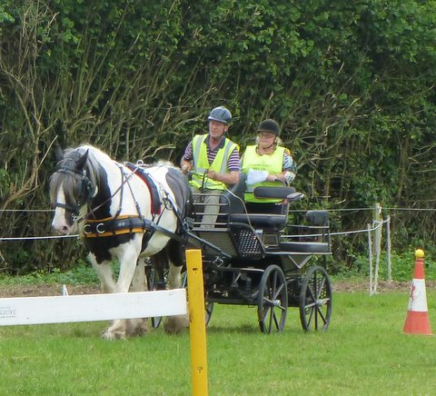 BDS Trec at Dogdean Farm 2016