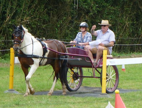 BDS Trec at Dogdean Farm 2016