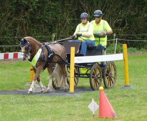 BDS Trec at Dogdean Farm 2016