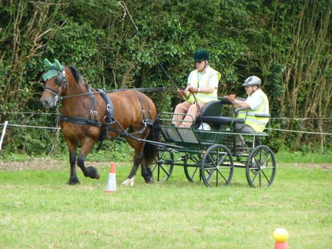 BDS Trec at Dogdean Farm 2016