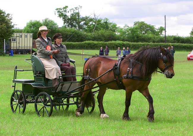 Hazel Lappin driving Harry