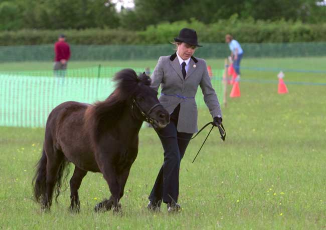 Lynda Rowland with Fusilier of Duntish