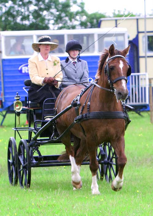 Dorothy Webb with Sebastian