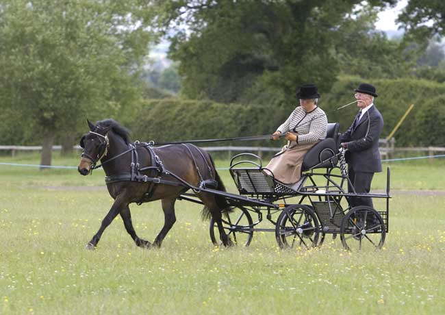 Sue and Peter Douglas with their pony Treacle