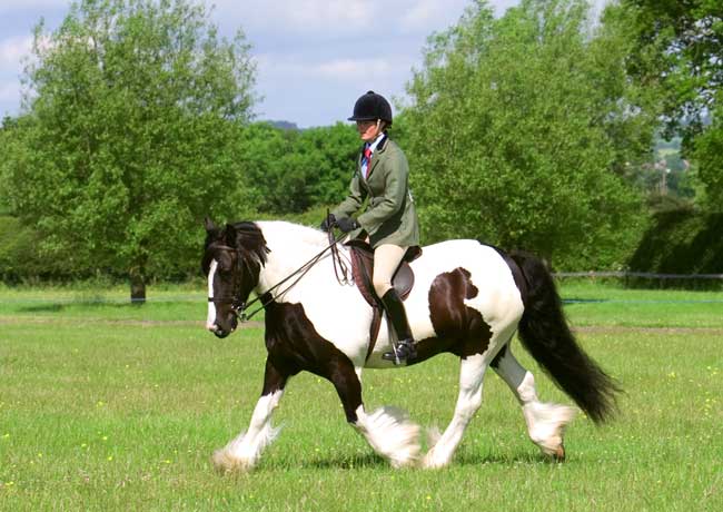 Hilary Miles riding Margaret Cuff’s Free Spirit