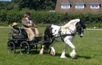 Dressage and cones 2011