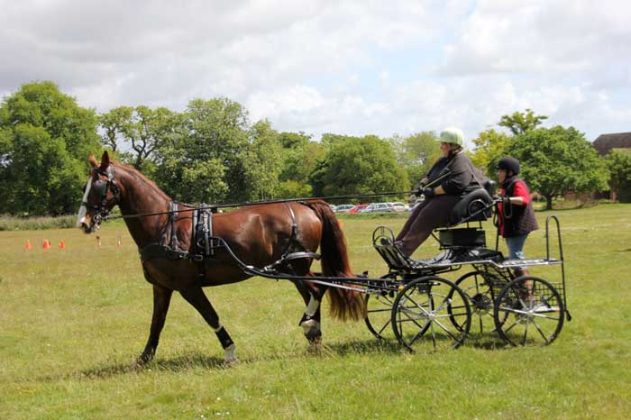 Holton Lee Fun Day 2017