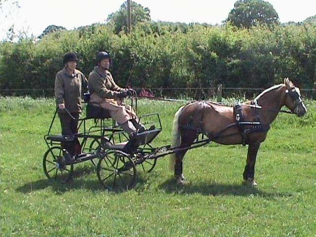 Dogdean Farm Fun Day