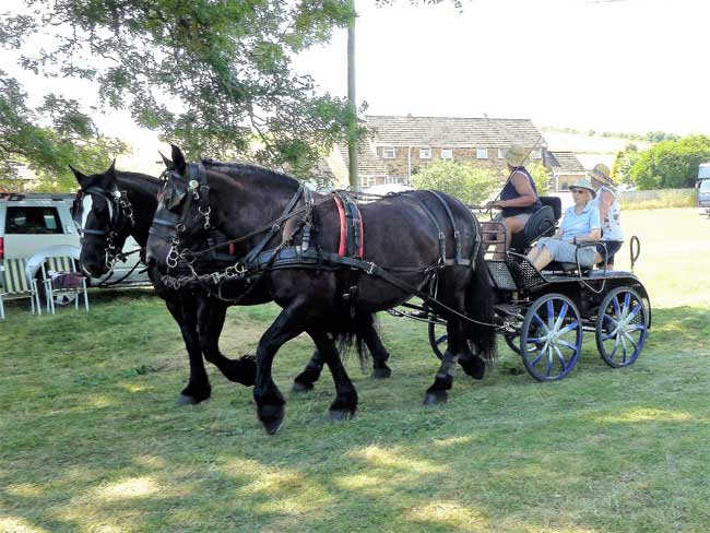 Drive from Gussage All Saints 2018