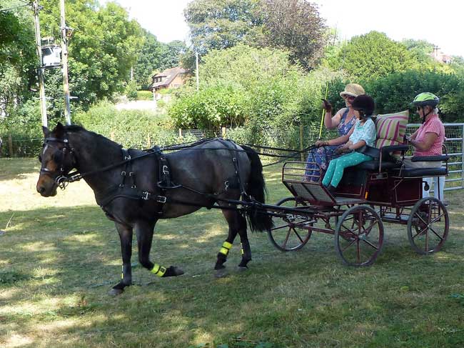 Drive from Gussage All Saints 2018