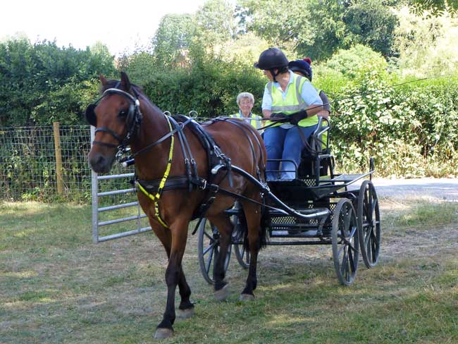 Drive from Gussage All Saints 2018