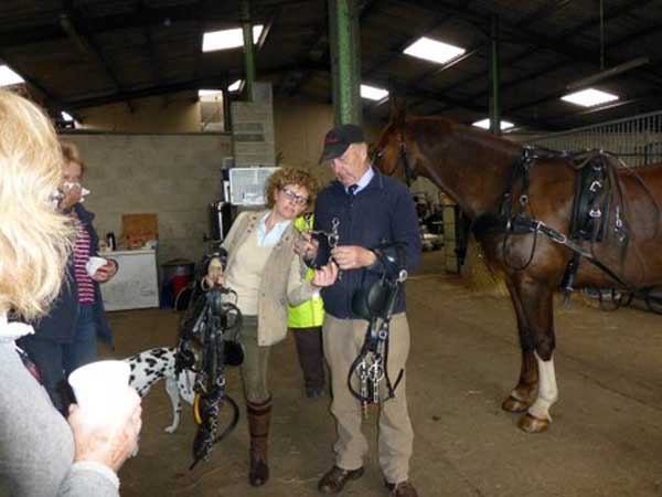 Harness fitting