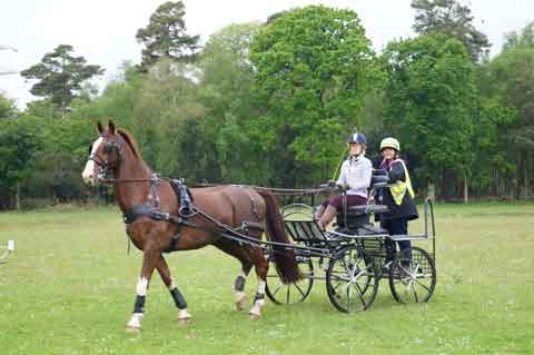 Holton Lee Fun Day 2016