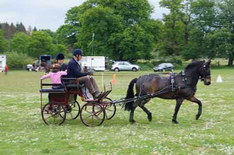 Holton Lee Fun Day 2016