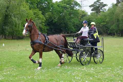 Holton Lee Fun Day 2016