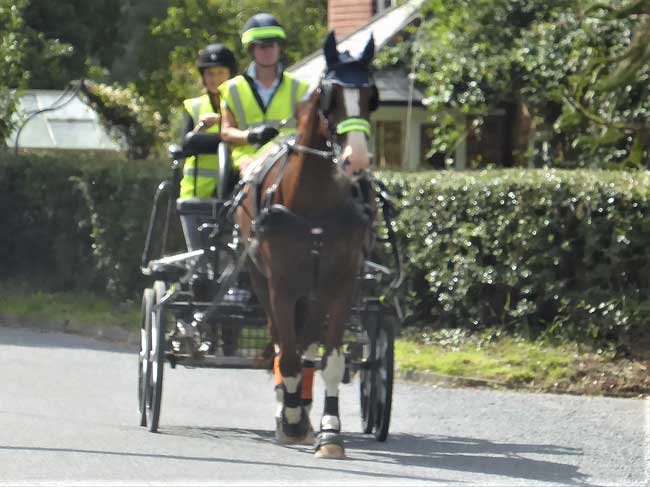 Dorset and S. Wilts BDS Interval drive from Holtwood 2018