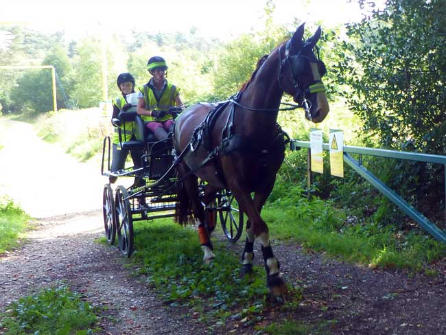 Dorset and S. Wilts BDS Interval drive from Holtwood 2018