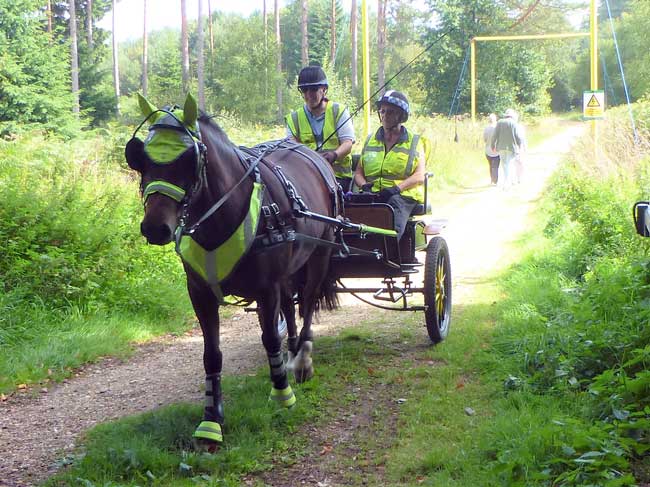 Dorset and S. Wilts BDS Interval drive from Holtwood 2018