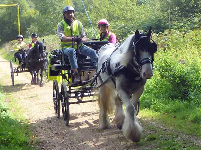 Dorset and S. Wilts BDS Interval drive from Holtwood 2018