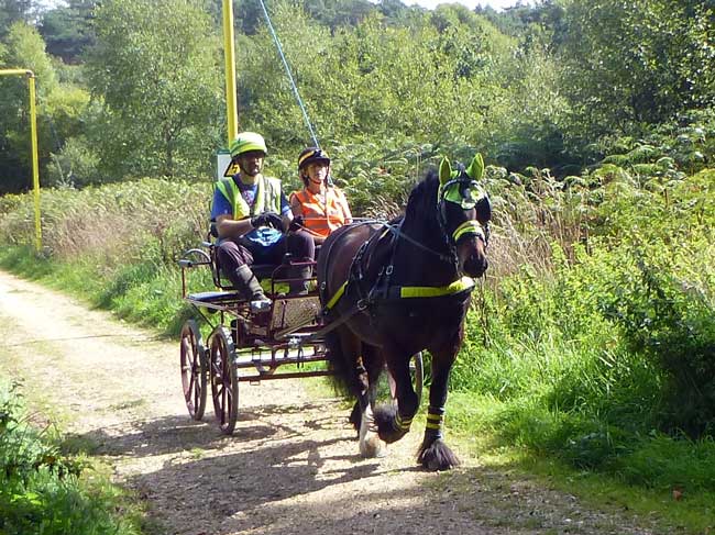 Dorset and S. Wilts BDS Interval drive from Holtwood 2018