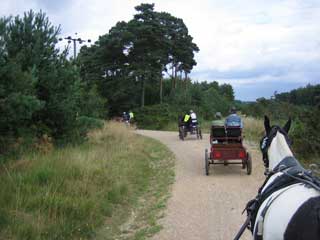 Holt Wood stables ride