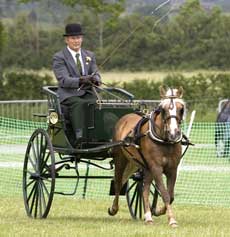 David Bull with Fearless Fiona