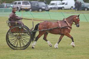 Sarah McBride with Grayswood Johnboy