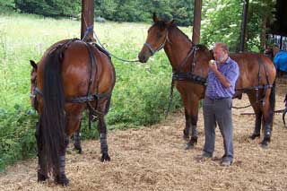 Ivan with 'Somersault' ,  and 'Deputy' 