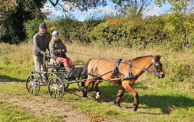 Dorset and South Wiltshire BDS Sunday Drive